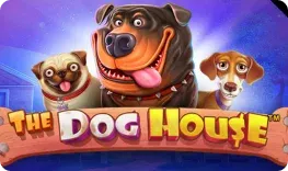 Kingmaker Casino offre il gioco online The Dog House